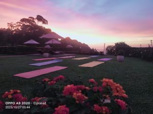 WhatsApp Image 2025-11-25 at 08.14.03 (1)