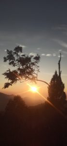 WhatsApp Image 2025-11-25 at 08.14.04 (1)