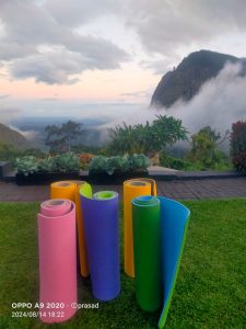 WhatsApp Image 2025-11-25 at 08.14.07 (1)