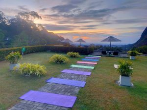 WhatsApp Image 2025-11-25 at 08.14.08 (1)