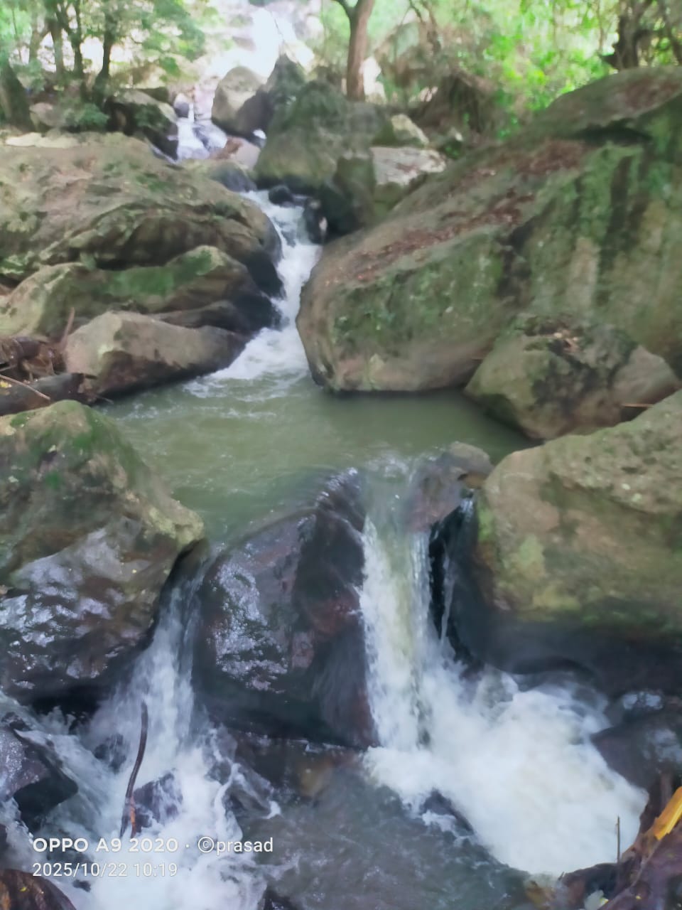 WhatsApp Image 2026-01-02 at 7.43.05 AM