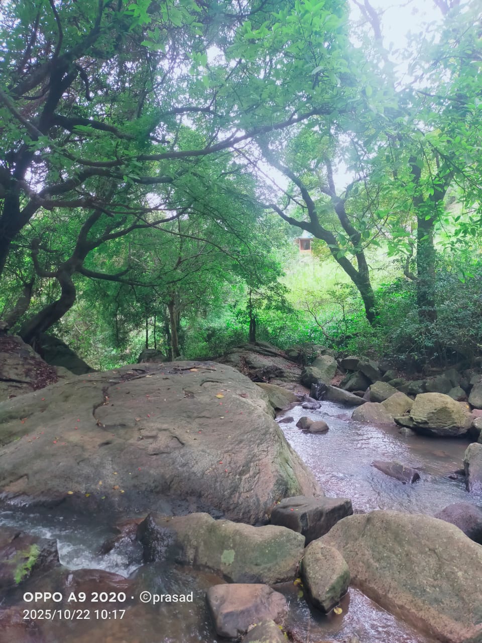 WhatsApp Image 2026-01-02 at 7.43.06 AM