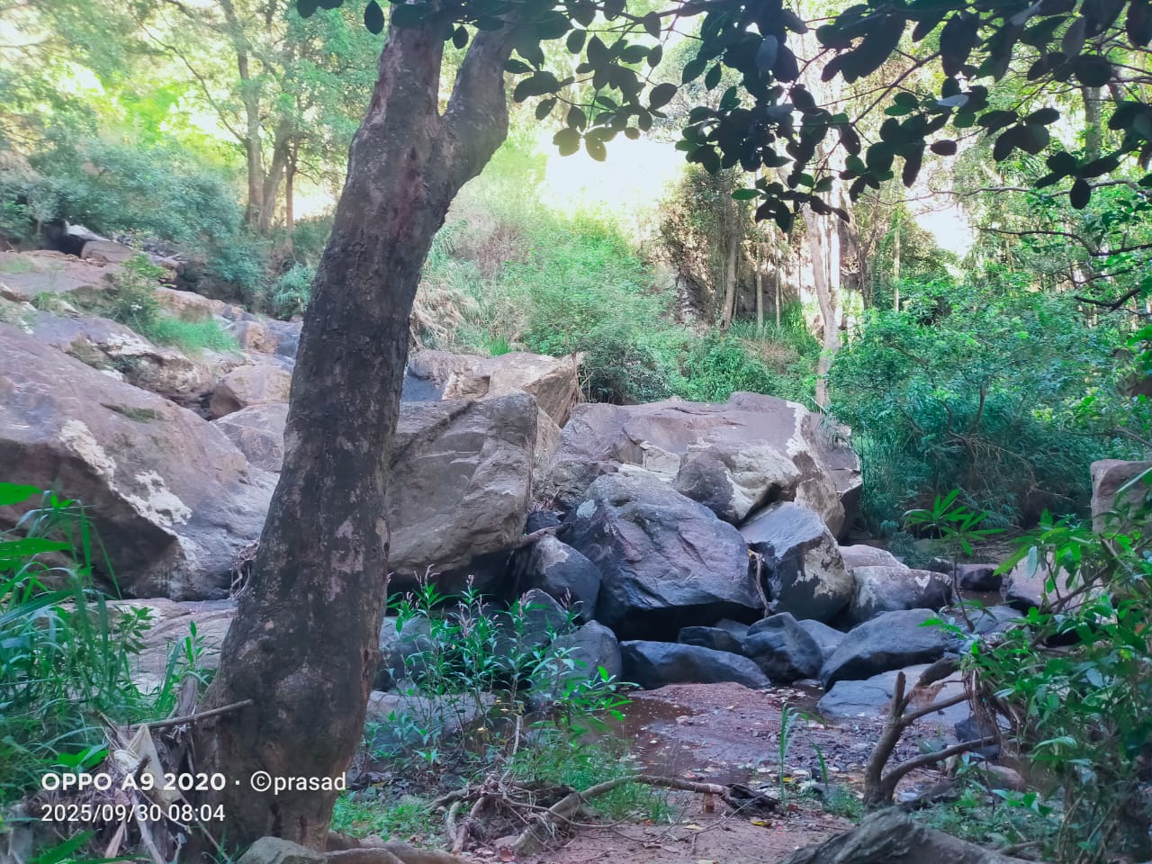 WhatsApp Image 2026-01-02 at 7.43.08 AM (1)