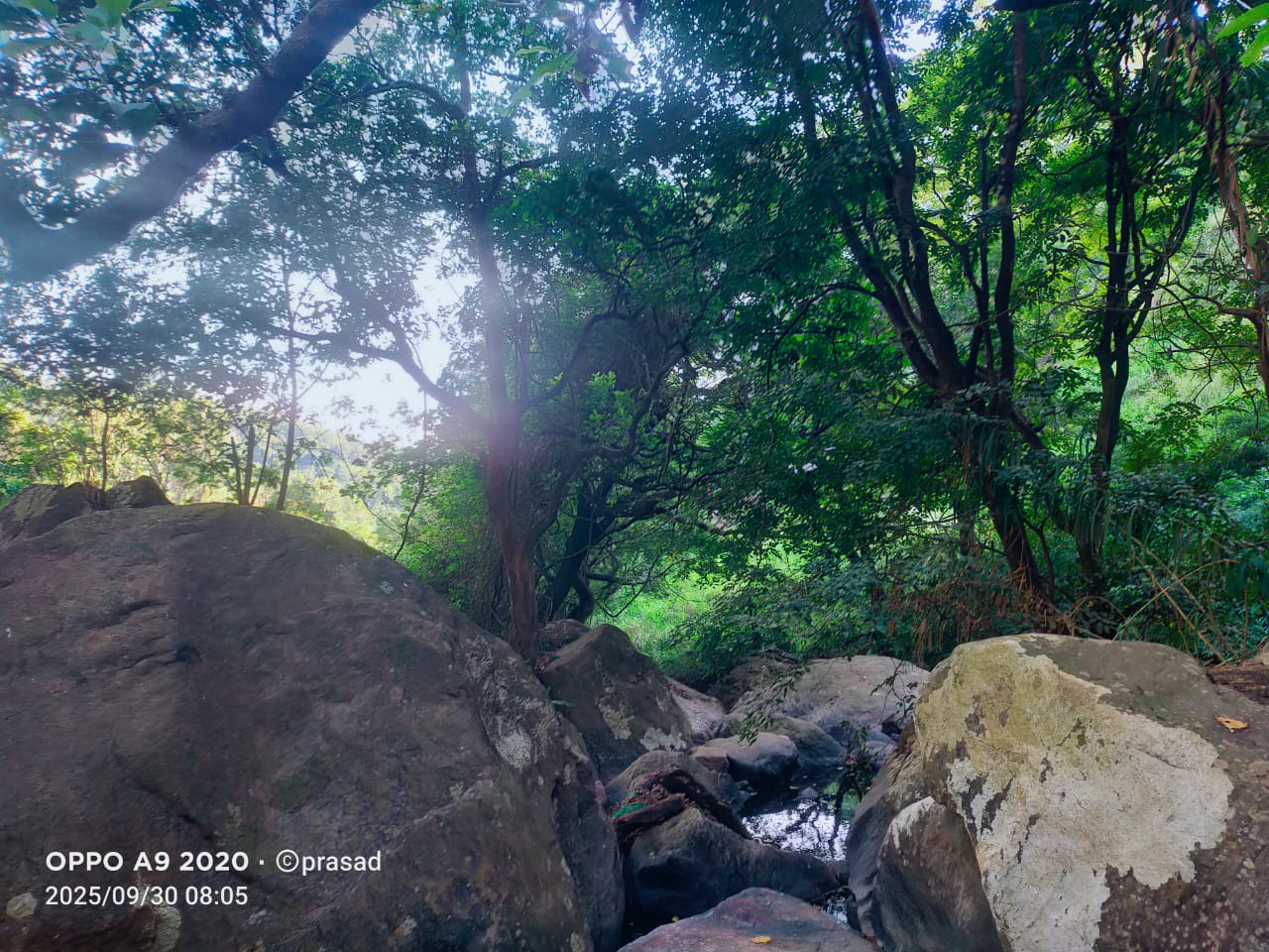 WhatsApp Image 2026-01-02 at 7.43.08 AM