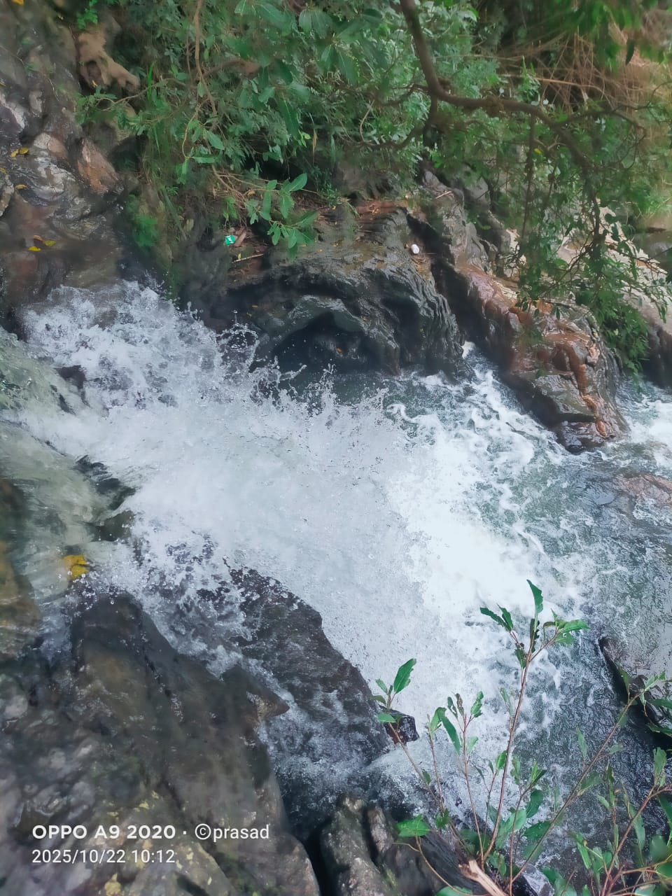 WhatsApp Image 2026-01-02 at 7.43.09 AM